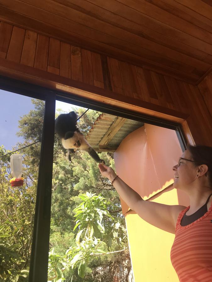 Que Tuanis Hostel モンテベルデ エクステリア 写真